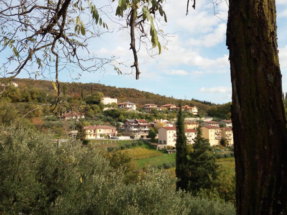 Panoramico10 Apartment With A View In Valpolicella SantʼAmbrogio di Valpolicella エクステリア 写真